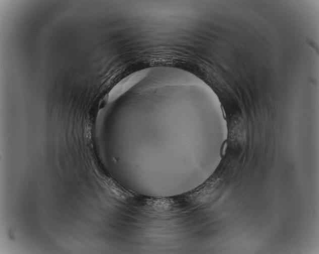 X0000097860282200804041535