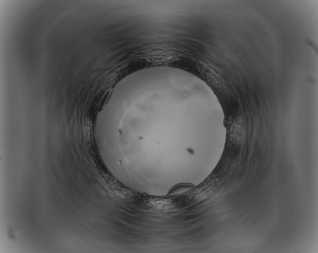 X0000097860283200804041535