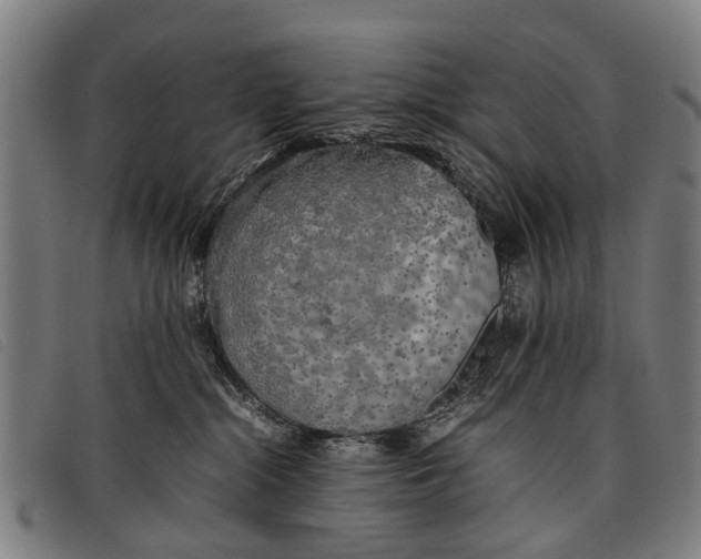 X0000097860284200804041535