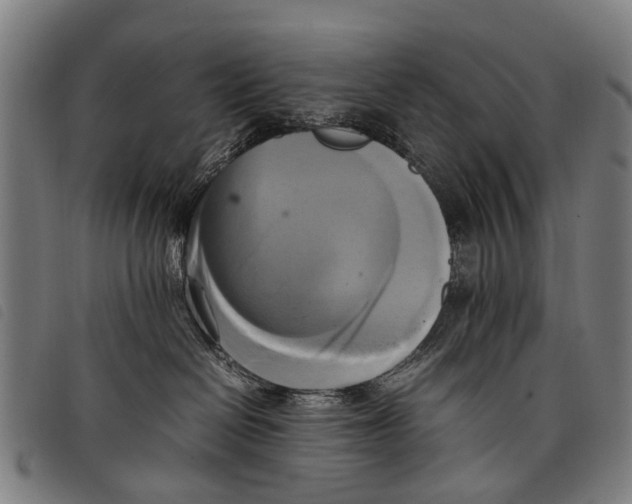 X0000097860286200804041535