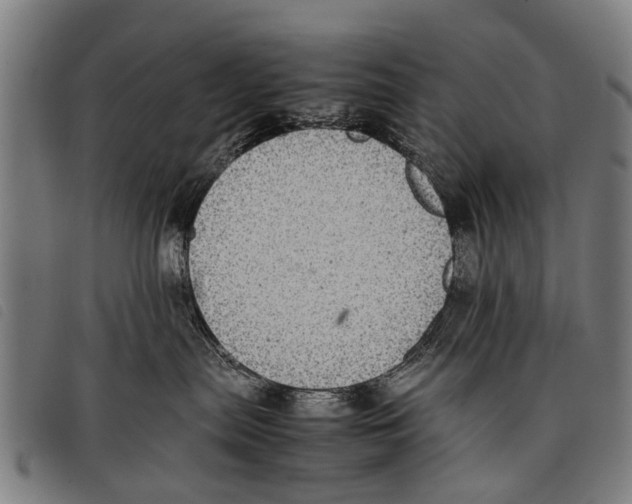 X0000097860287200804041535