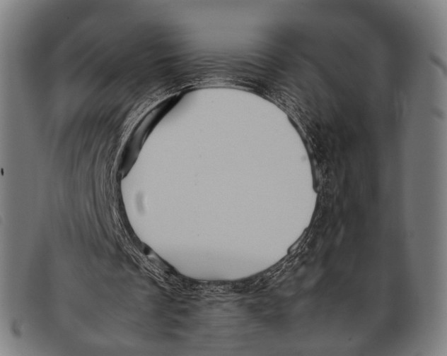 X0000097860289200804041534