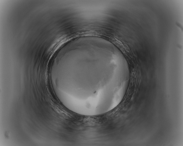 X0000097860290200804041534