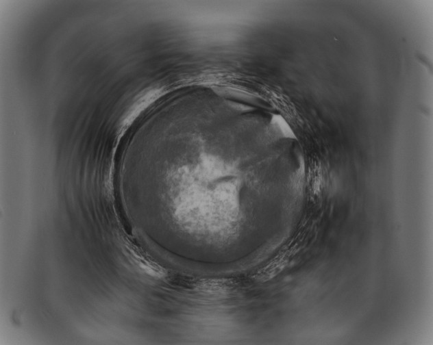 X0000097860292200804041534