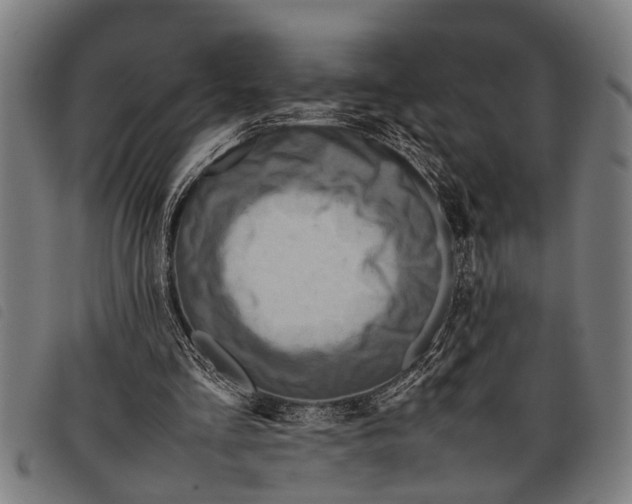 X0000097860293200804041534