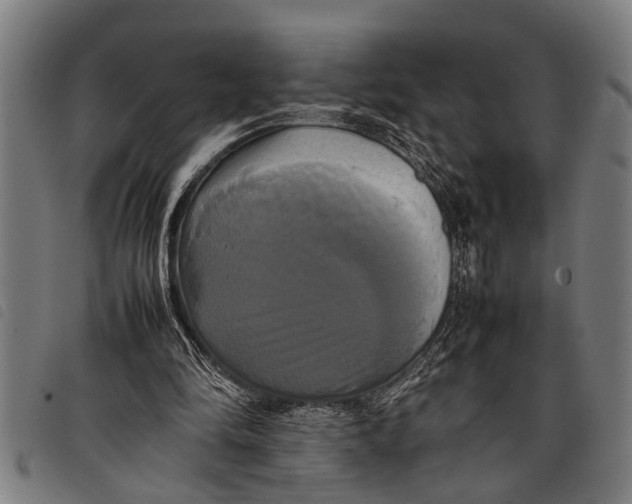 X0000097860294200804041534