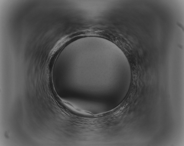 X0000097860295200804041534