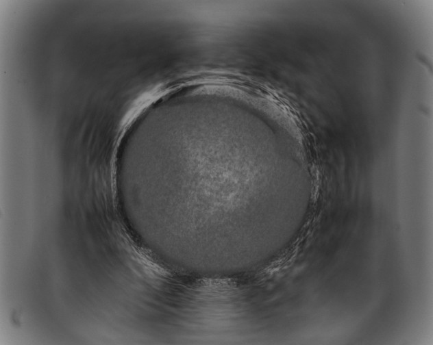 X0000097860296200804041534