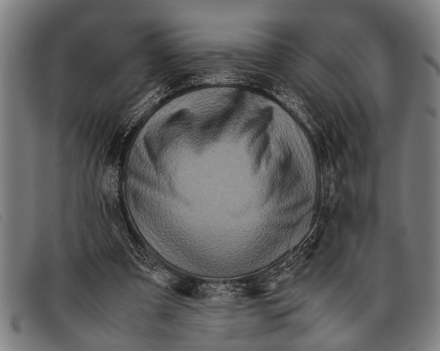 X0000097860297200804041534