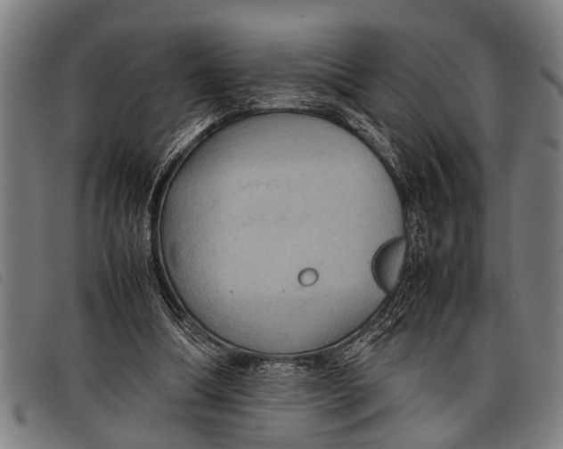 X0000097860298200804041534