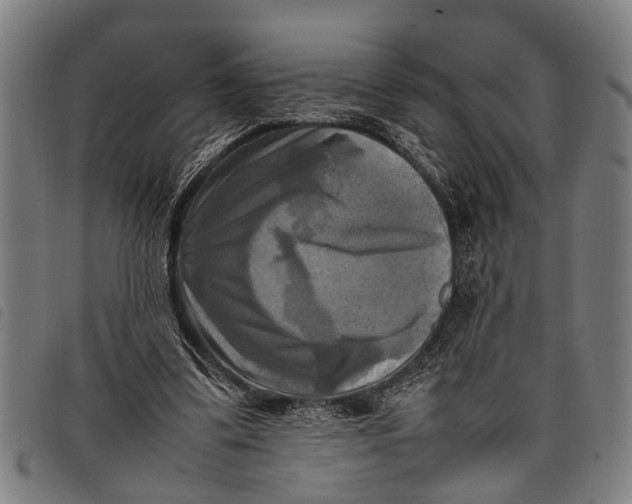 X0000097860299200804041534