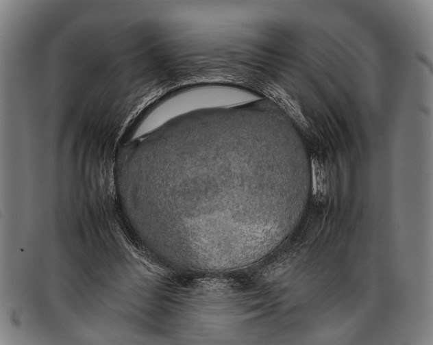 X0000097860300200804041534