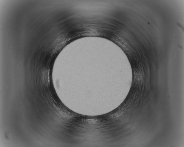 X0000097860302200804041534