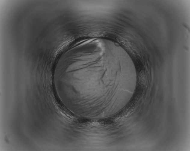 X0000097860303200804041534