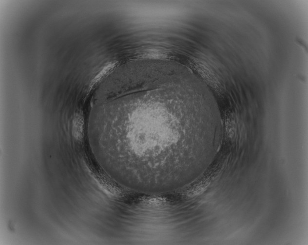 X0000097860304200804041534