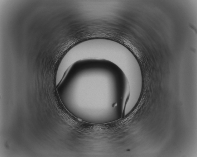 X0000097860305200804041534