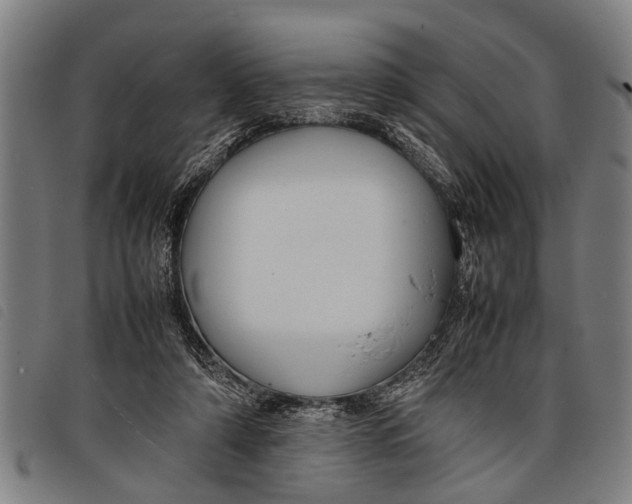 X0000097860306200804041534