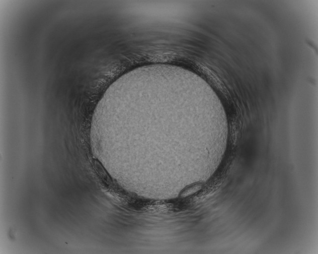 X0000097860307200804041534