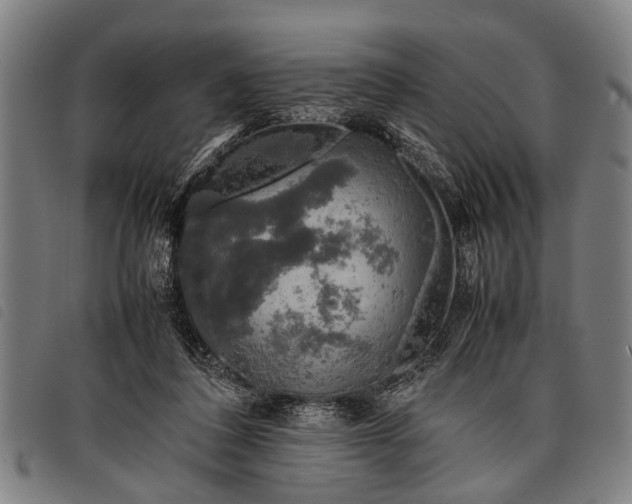 X0000097860308200804041534