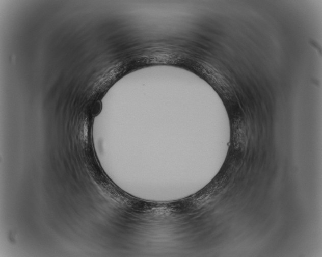 X0000097860310200804041534