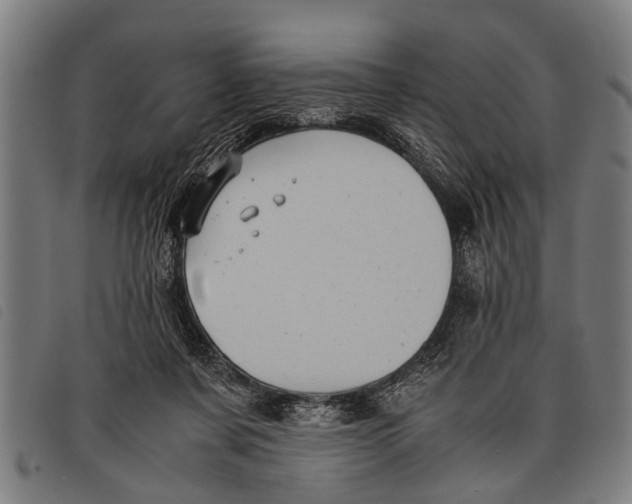 X0000097860311200804041534