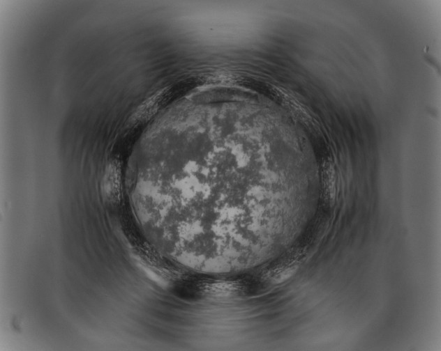 X0000097860312200804041534