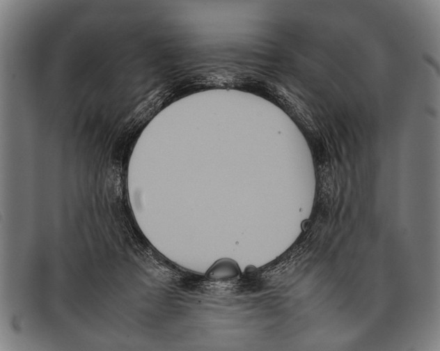 X0000097860313200804041534