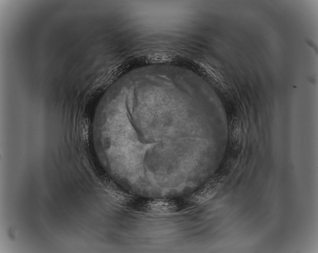 X0000097860315200804041534