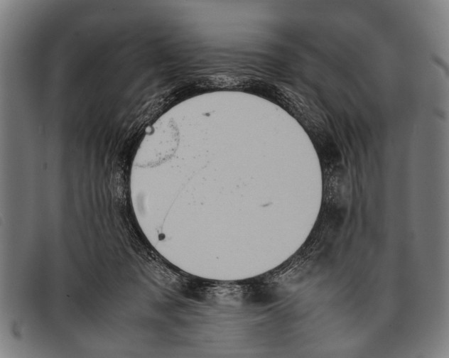 X0000097860317200804041534