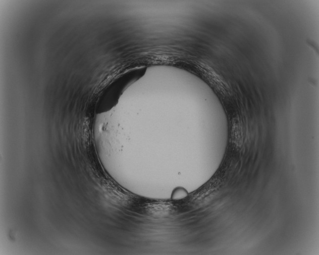 X0000097860318200804041534