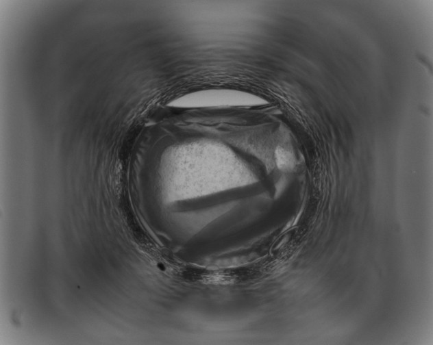 X0000097860319200804041534