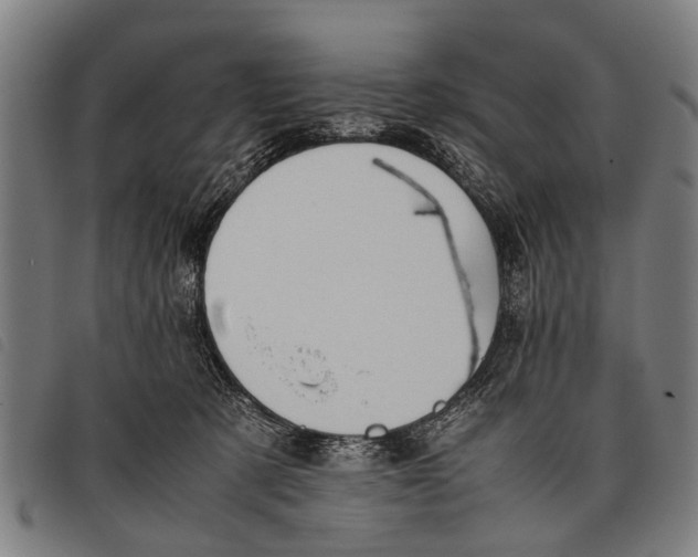 X0000097860321200804041534