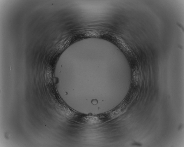 X0000097860322200804041534