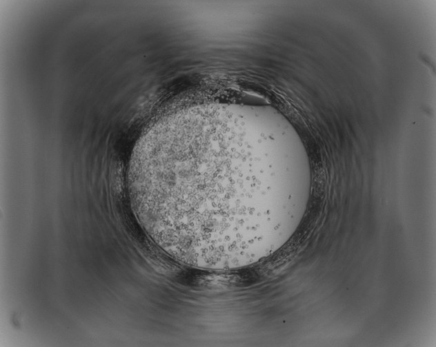 X0000097860323200804041534