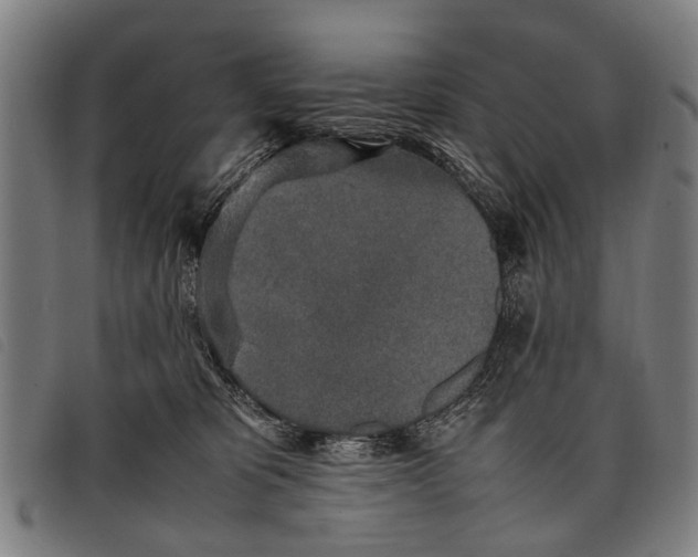 X0000097860325200804041534