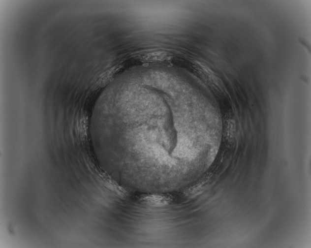 X0000097860326200804041534