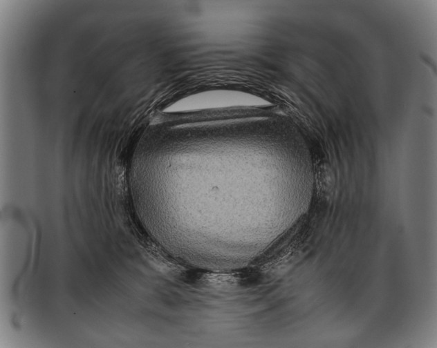 X0000097860327200804041534