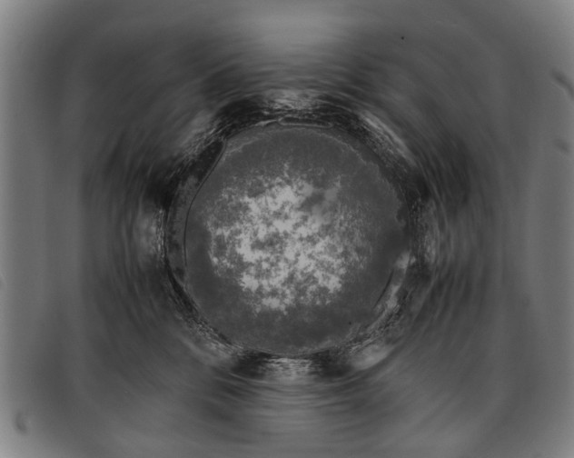 X0000097860328200804041534