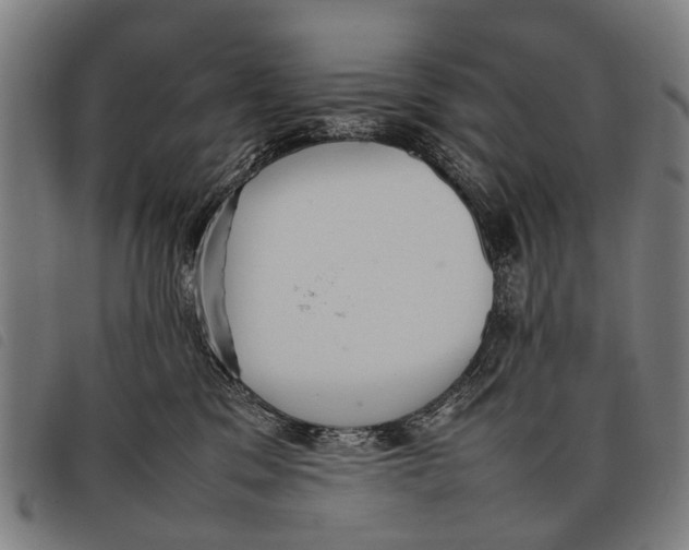 X0000097860329200804041534