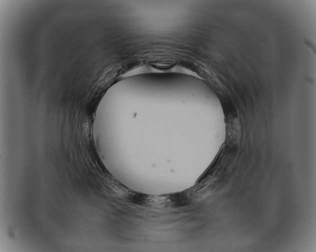 X0000097860333200804041534