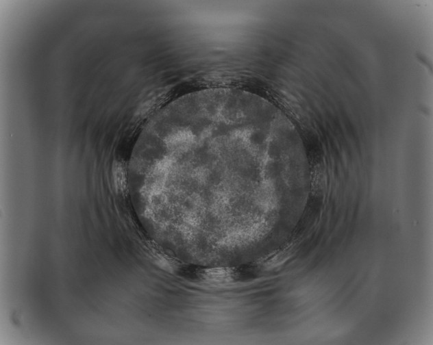 X0000097860335200804041534