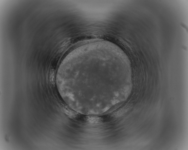 X0000097860336200804041534