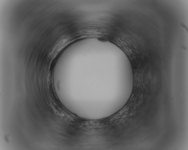 X0000097860338200804041533