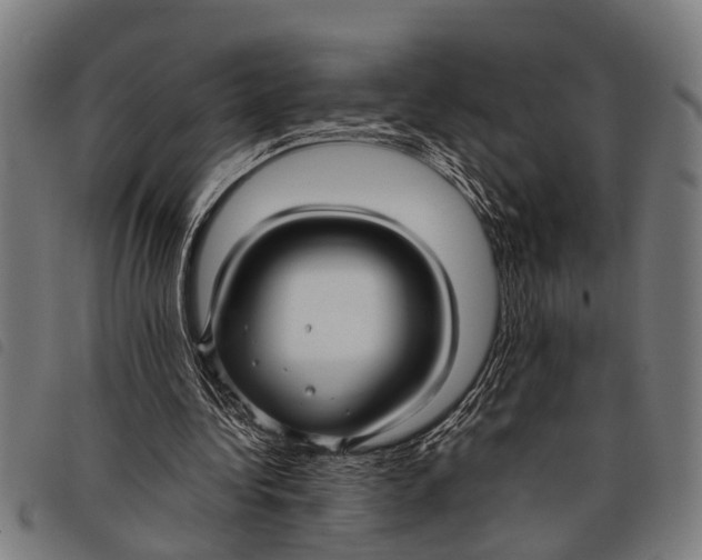 X0000097860340200804041533