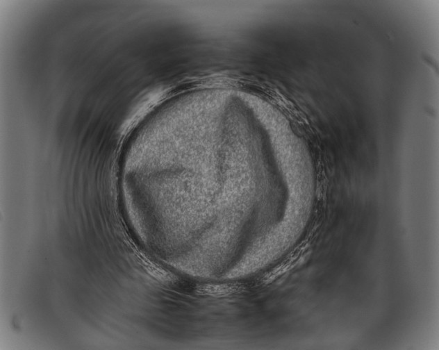 X0000097860341200804041533