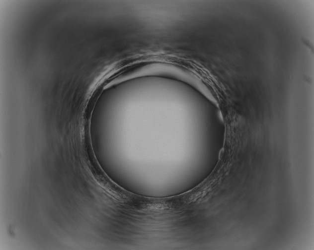 X0000097860344200804041533