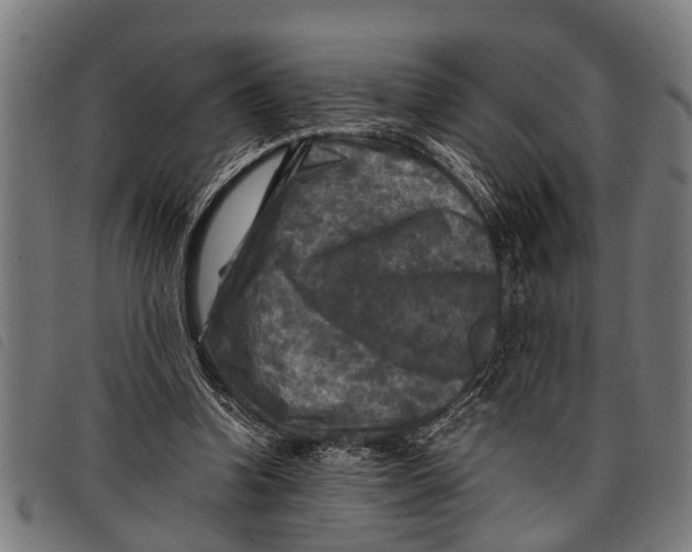 X0000097860346200804041533