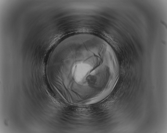 X0000097860347200804041533