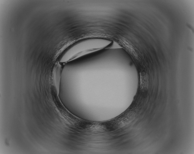 X0000097860348200804041533