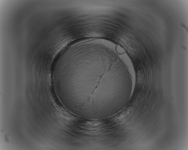 X0000097860351200804041533